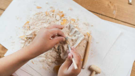 Child's hands digging a fossil
