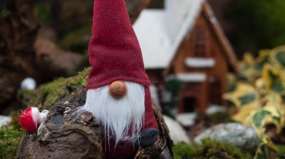A closeup of Christmas gnome with his woodland home in the background.