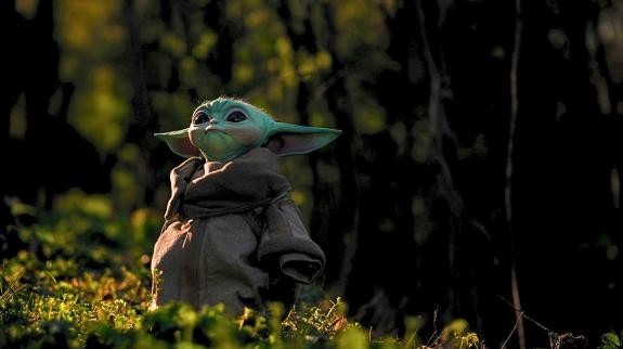 Baby Yoda in a sun-dappled forest.