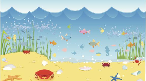 Diorama of sea life.