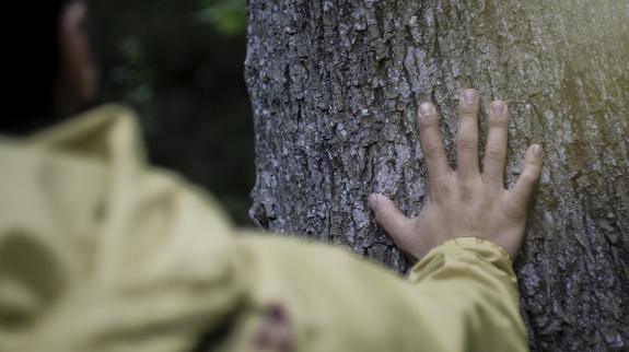 View of back of man reaching out to touch a tree in the forest.