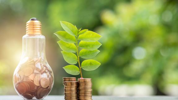 Energy saving concept. Stacks of coins growing in light bulb and tree growing on stacks of coins and tree nature background.