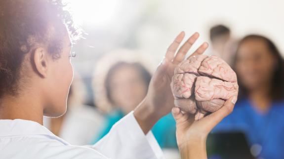 Picture of someone holding a brain 
