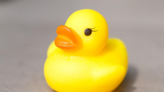 Yellow rubber duck toy.