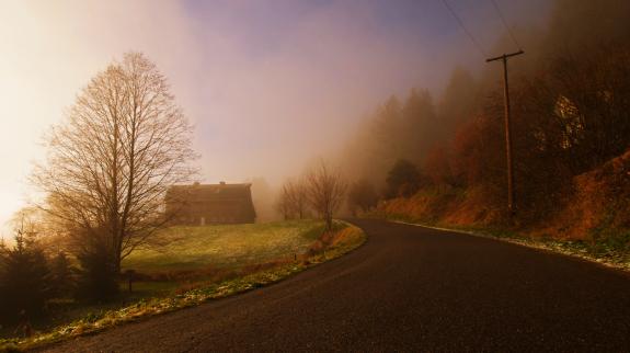 Photo credit: Stephen Mullock