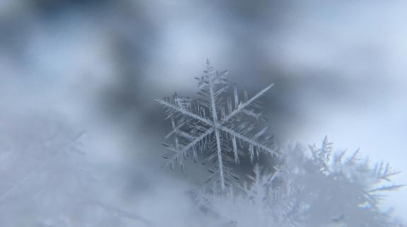Snowflake in winter.
