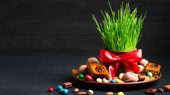 Nowruz setting table decoration, wheat grass, baklava pastry and nuts on dark background.