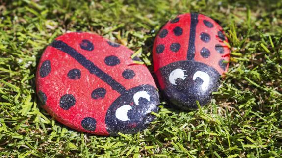 Two little painted ladybug rocks sitting on grass,