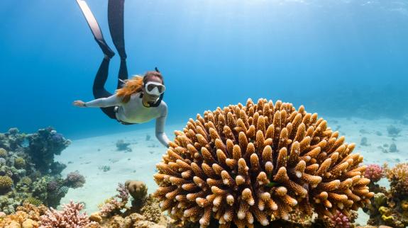 A female diver swimming by the coral in the ocean.