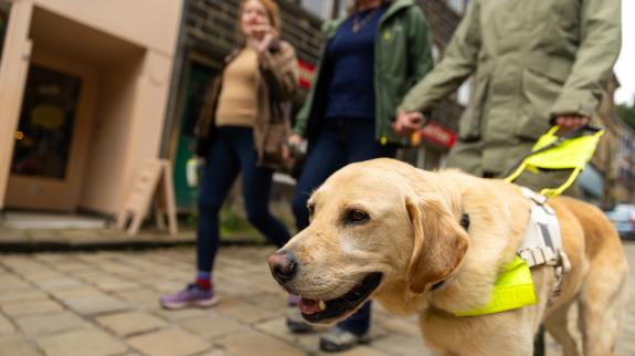 A low angle shot of a visually impaired man in his 60s walking with his wife, daughter and his guide dog on the cobbled street.