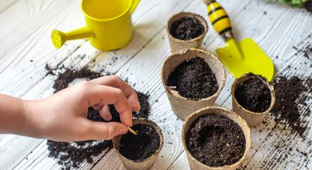 Planting seeds in spring. seeds in hand against soil in paper pots, watering can on craft paper. pots for seedlings, seed tanks for home gardening.