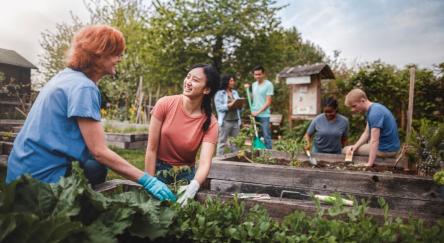 Several individuals engaged in gardening activities, planting and nurturing plants in a sunny outdoor space.