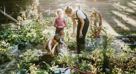 Parent and kids tending the farm garden.