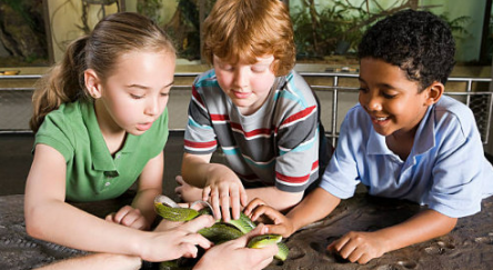 Three children touching a snake