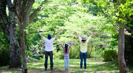 Father, mother and daughter open arms in the woods.