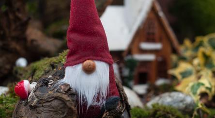 A closeup of Christmas gnome with his woodland home in the background.