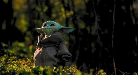 Baby Yoda in a sun-dappled forest.