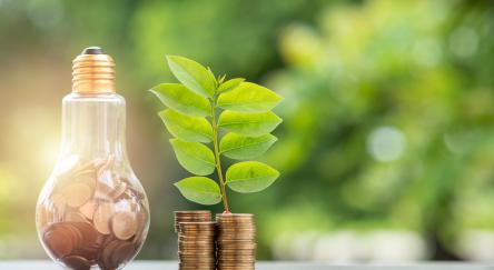 Energy saving concept. Stacks of coins growing in light bulb and tree growing on stacks of coins and tree nature background.