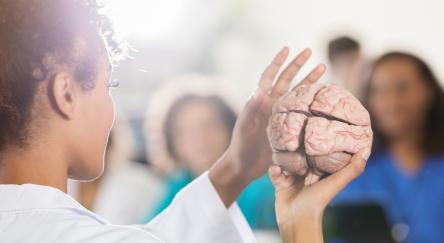 Picture of someone holding a brain 