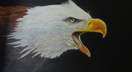 Hand painted head of a Bald Eagle by John Le Flock.