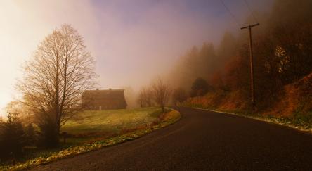 Photo credit: Stephen Mullock