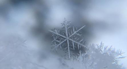 Snowflake in winter.