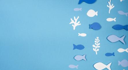 Fish and coral cut out of paper on a blue background.