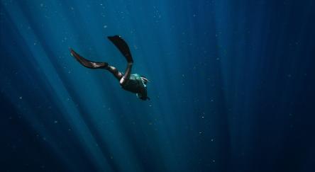 Diver swimming deeper into the ocean.