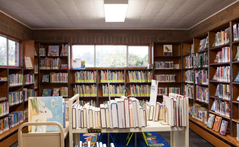 A view of books neatly arranged on shelves inside Mount Lehman Library.