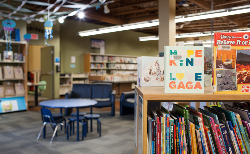  Interior of Murrayvile Library featuring bookshelves filled with books and a table surrounded by chairs.