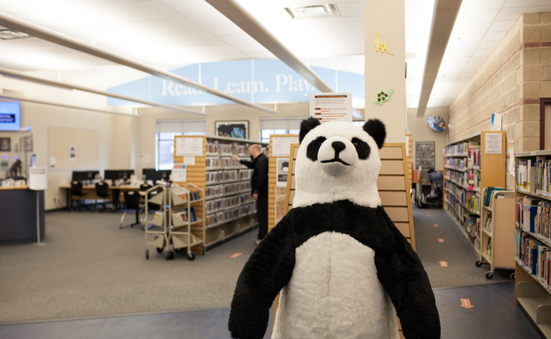  A life-sized plush panda bear on display in the Dean Drysdale Library, adding a whimsical touch to the reading space.