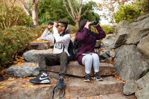 Teens use a Birwatching Backpack from the FVRL Playground collection.