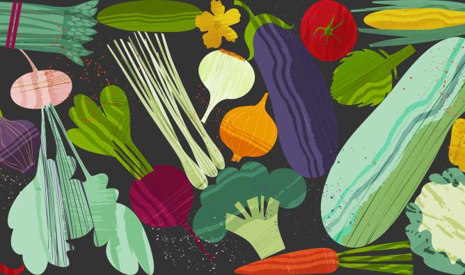 A colourful, abstract assortment of vegetables.