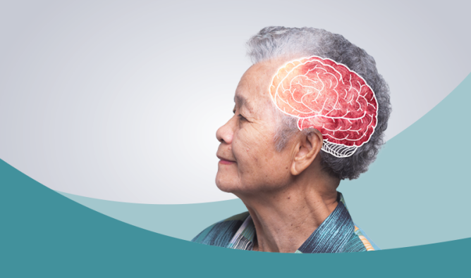 An older woman with a visible brain, symbolizing wisdom and experience, looks thoughtfully into the distance.