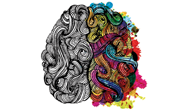 Brain illustration with a coloured right side of the brain.