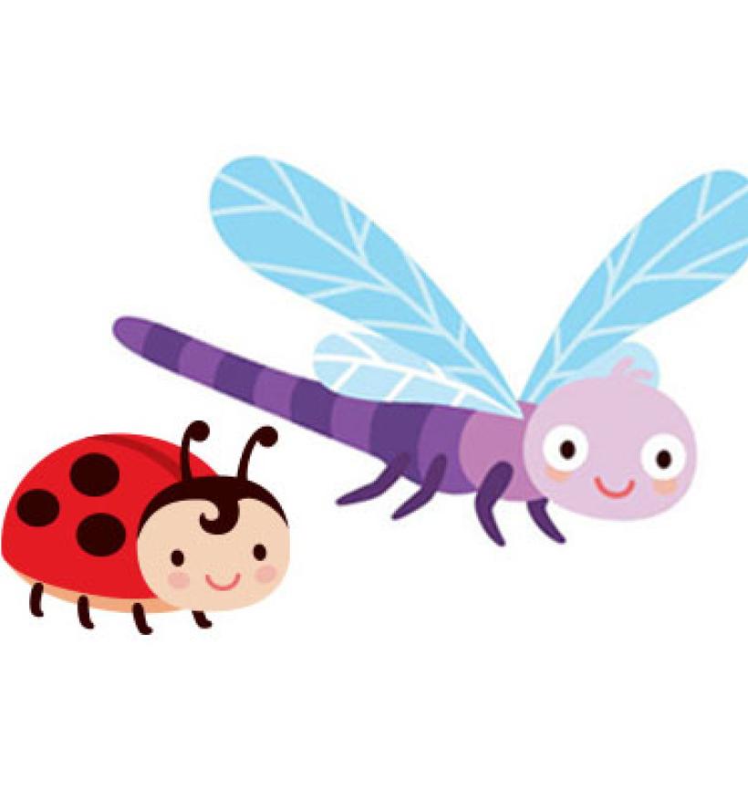 A dragonfly and a ladybug.