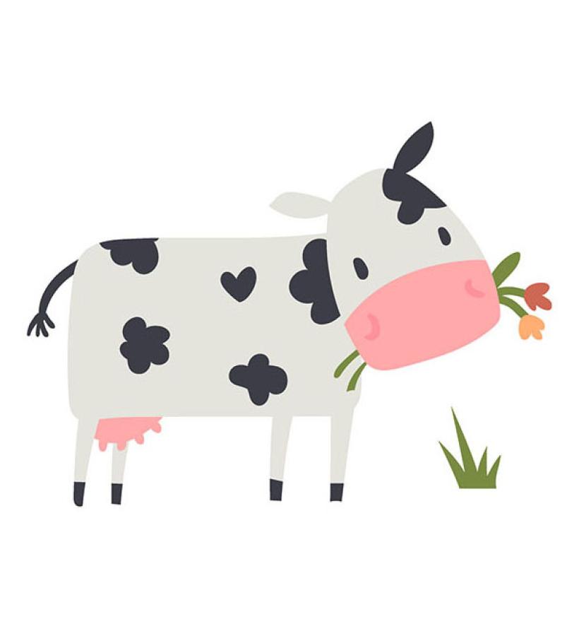 A spotted cow munches on grass and flowers.